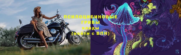 Альфа ПВП Армянск