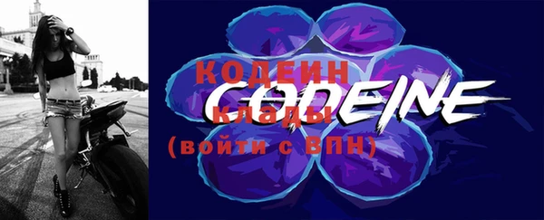 индика Дмитров