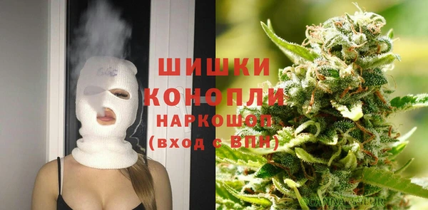 сатива Дмитровск